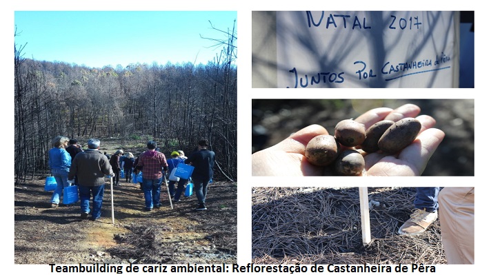 Colaboradores do Turismo de Portugal numa atividade de reflorestação em Castanheira de Pêra
